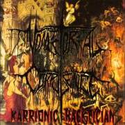 Der musikalische text BLUNGED TO DEATH von VOMITORIAL CORPULENCE ist auch in dem Album vorhanden Karrionic hacktician (1995)