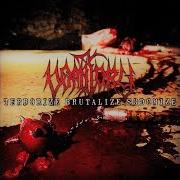 Der musikalische text FLESH PASSION von VOMITORY ist auch in dem Album vorhanden Terrorize, brutalize, sodomize (2007)