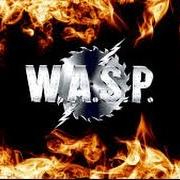 Der musikalische text SCHOOL DAZE von W.A.S.P. ist auch in dem Album vorhanden I wanna be somebody (1984)