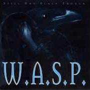 Der musikalische text I CAN'T von W.A.S.P. ist auch in dem Album vorhanden Still not black enough (1995)
