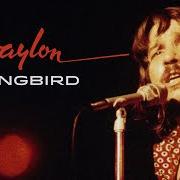 Songbird