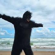 Der musikalische text I COULD DO MUCH WORSE von WE ARE SCIENTISTS ist auch in dem Album vorhanden Qualifying miles (2025)