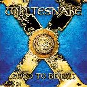 Der musikalische text ALL FOR LOVE von WHITESNAKE ist auch in dem Album vorhanden Good to be bad (2008)