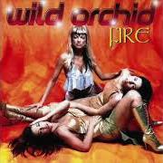 Der musikalische text A LITTLE BIT OF LOVIN' von WILD ORCHID ist auch in dem Album vorhanden Fire