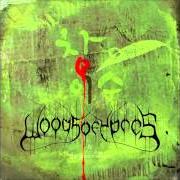 Der musikalische text DON'T OPEN THE WOUNDS / SKYWIDE ARMSPREAD von WOODS OF YPRES ist auch in dem Album vorhanden Woods iv: the green album (2009)