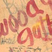 Der musikalische text OLD KOKAINE von WOODY GUTHRIE ist auch in dem Album vorhanden New multitudes (2011)