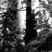 Der musikalische text PALE FOREST von WYRD ist auch in dem Album vorhanden Huldrafolk (2002)