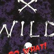 Der musikalische text SKYBOLTER von X-WILD ist auch in dem Album vorhanden So what! (1994)
