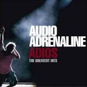 Der musikalische text MIRACLE von AUDIO ADRENALINE ist auch in dem Album vorhanden Adios: the greatest hits (2006)