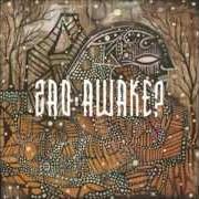 Der musikalische text QUIET PASSENGER PT. 2/THE WORLD CAVED IN von ZAO ist auch in dem Album vorhanden Awake? (2009)