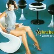 Der musikalische text WALKAWAY von ZEBRAHEAD ist auch in dem Album vorhanden Waste of mind (1998)