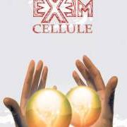Der musikalische text ISOLA RIBELLE von EXEM ist auch in dem Album vorhanden Isola ribelle (2008)