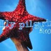 Der musikalische text CLOSED DOWN von BILLY PILGRIM ist auch in dem Album vorhanden Bloom