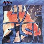 Der musikalische text GET MAD AS LOUD AS POSSIBLE! von CITIZEN FISH ist auch in dem Album vorhanden Life size (2001)