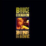 Der musikalische text JESUS TRAIN von BRUCE COCKBURN ist auch in dem Album vorhanden Bone on bone (2017)