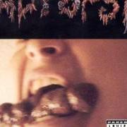Der musikalische text GRAVE VIOLATORS von AUTOPSY ist auch in dem Album vorhanden Shitfun (1995)
