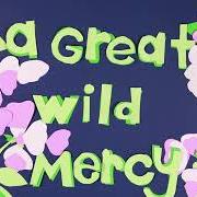 A great wild mercy