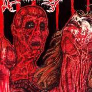 Der musikalische text MORGUE DEFILEMENT von AVULSED ist auch in dem Album vorhanden Carnivoracity (1995)