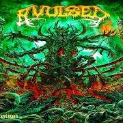 Der musikalische text DEFORMED BEYOND BELIEF von AVULSED ist auch in dem Album vorhanden Dead flesh compilation (1993)
