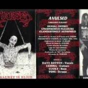 Der musikalische text DENIAL (INTRO) von AVULSED ist auch in dem Album vorhanden Embalmed in blood (1992)