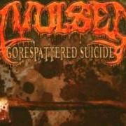 Der musikalische text GORESPATTERED SUICIDE von AVULSED ist auch in dem Album vorhanden Gorespattered suicide (2005)