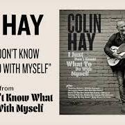 Der musikalische text NORWEGIAN WOOD (THIS BIRD HAS FLOWN) von COLIN HAY ist auch in dem Album vorhanden I just don't know what to do with myself (2021)