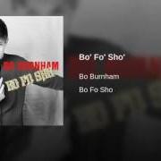 Der musikalische text HIGH SCHOOL PARTY (GIRL) von BO BURNHAM ist auch in dem Album vorhanden Bo fo sho (2008)