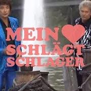 Der musikalische text GEBROCHENES HERZ von DIE FLIPPERS ist auch in dem Album vorhanden Aloha he - stern der südsee (2009)