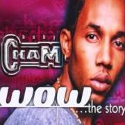 Der musikalische text HIGH ROLLERS von BABY CHAM ist auch in dem Album vorhanden Wow ...The story (2000)