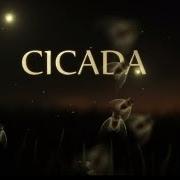 Cicada