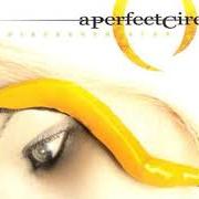 Der musikalische text CRIMES von A PERFECT CIRCLE ist auch in dem Album vorhanden Thirteenth step (2003)