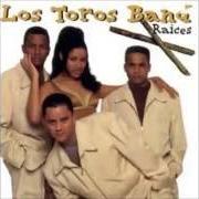 Der musikalische text POPURRI DE ALEX BUENO von LOS TOROS BAND ist auch in dem Album vorhanden Raices ii (2012)