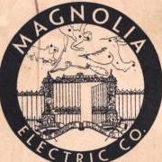 Der musikalische text I CAN NOT HAVE SEEN THE LIGHT von MAGNOLIA ELECTRIC CO. ist auch in dem Album vorhanden What comes after the blues (2005)