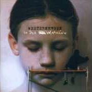 Der musikalische text ROSEN von MARIUS MÜLLER-WESTERNHAGEN ist auch in dem Album vorhanden In den wahnsinn (2002)