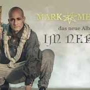 Im nebel