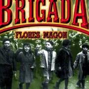 Der musikalische text RASH von BRIGADA FLORES MAGON ist auch in dem Album vorhanden Brigada flores magon (1999)