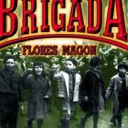 Brigada flores magon