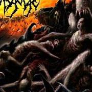 Der musikalische text FORGOTTEN SCRIPTURES von DISGORGE (USA) ist auch in dem Album vorhanden Parallels of infinite torture (2005)