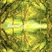 Der musikalische text BARREL HOUSE von BAND OF HORSES ist auch in dem Album vorhanden Why are you ok (2016)