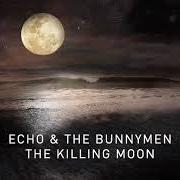 Der musikalische text BRING ON THE DANCING HORSES (TRANSFORMED) von ECHO AND THE BUNNYMEN ist auch in dem Album vorhanden The stars, the oceans & the moon (2018)