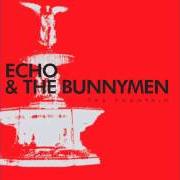 Der musikalische text THE IDOLNESS OF GODS von ECHO AND THE BUNNYMEN ist auch in dem Album vorhanden The fountain (2009)