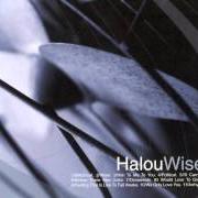 Der musikalische text I'LL CARRY YOU von HALOU ist auch in dem Album vorhanden We only love you (1999)