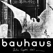 Der musikalische text BITE MY HIP von BAUHAUS ist auch in dem Album vorhanden The bela session (2018)