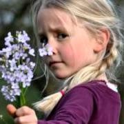 Der musikalische text DES JONQUILLES AUX DERNIERS LILAS von HUGUES AUFRAY ist auch in dem Album vorhanden Adieu monsieur le professeur (1993)