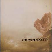 Der musikalische text A NIGHT TO REMEMBER, A MORNING TO FORGET von A THORN FOR EVERY HEART ist auch in dem Album vorhanden Silence is golden [ep] (2003)