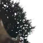 Der musikalische text OVERCOME von NEW LIFE WORSHIP ist auch in dem Album vorhanden Soak (2015)