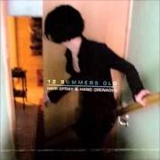 Der musikalische text HARD TO BE COOL von 12 SUMMERS OLD ist auch in dem Album vorhanden Hair spray & hand grenades (2006)