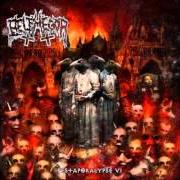 Der musikalische text DAS PESTHAUS / MIASMA EPILOG von BELPHEGOR ist auch in dem Album vorhanden Pestapokalypse vi (2006)