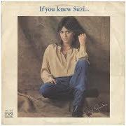 Der musikalische text WISER THAN YOU von SUZI QUATRO ist auch in dem Album vorhanden If you knew suzi (1978)