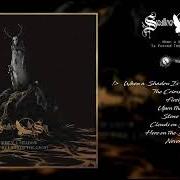 Der musikalische text WHEN A SHADOW IS FORCED INTO THE LIGHT von SWALLOW THE SUN ist auch in dem Album vorhanden When a shadow is forced into the light (2019)